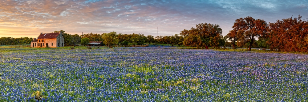 relaxing and peaceful water view, dental clinic in Spring TX